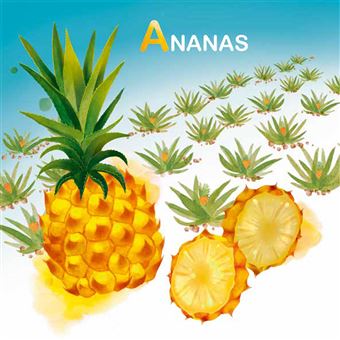 La Réunion de A à Z