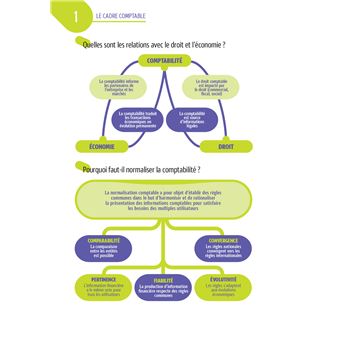 Tout le DCG 9 :  mémo cartes - Révision 2023-2024