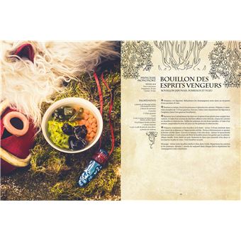 Gastronogeek recettes végétariennes