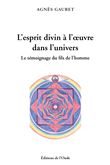L'esprit divin à l'œuvre dans l'univers