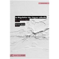 La Régulation des risques collectifs