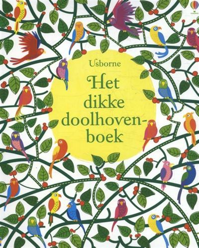 Het dikke doolhovenboek