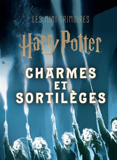 Harry Potter - Tome 1 : Les mini-grimoires Harry Potter T1: Charmes et sortilèges