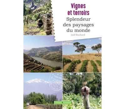 Vignes et splendeurs des paysages