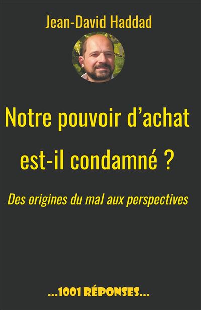 Notre pouvoir d achat est il condamne des origines du mal aux perspectives