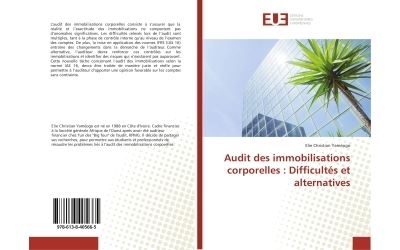 Audit des immobilisations corporelles : difficultes et alter