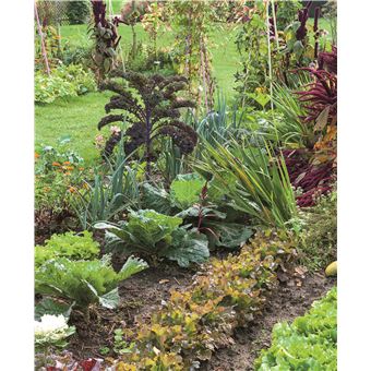 Petit ABC Rustica du potager bio. 350 dessins geste par geste