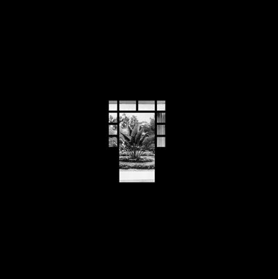 HEARTS OF PALM/LP