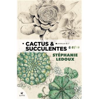 Cactus & succulentes