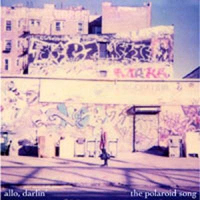 Polaroid song/will you please