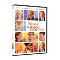 The Second Best Exotic Marigold Hotel