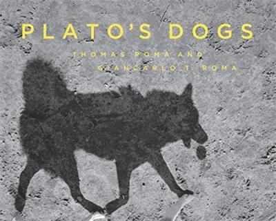 Thomas Roma : Plato's dogs