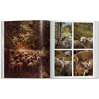 Remote Experiences. Extraordinary Travel Adventures from North to South