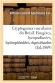 Cryptogames vasculaires du Brésil. Fougères, lycopodiacées, hydroptéridées, équisétacées