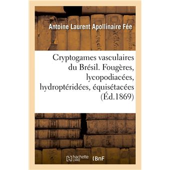 Cryptogames vasculaires du Brésil. Fougères, lycopodiacées, hydroptéridées, équisétacées