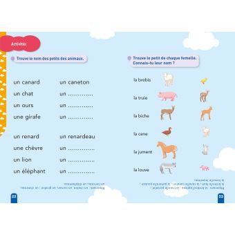 Téo et Nina CP Niveau 2 - Le caneton de Téo et Nina