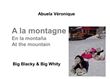 A la montagne