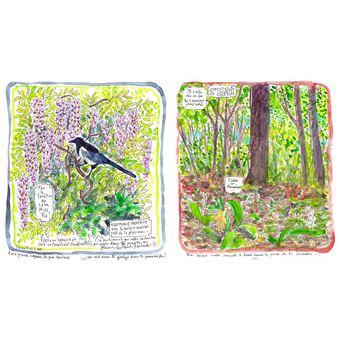 Carnet d'un jardinier amoureux du vivant