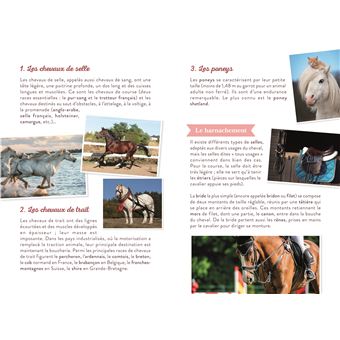Agenda scolaire CHEVAUX AU GALOP 2023-2024