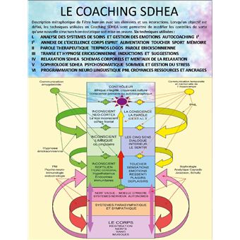 Cours de coaching thérapeutique SDHEA