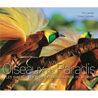 Oiseaux De Paradis Les Oiseaux Les Plus Extraordinaires Du Monde - 