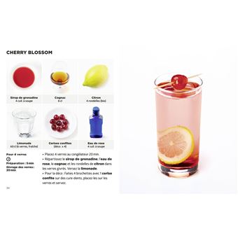 Simplissime Cocktails & Apéros Party