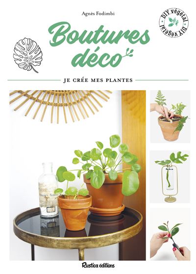 Boutures déco Je crée mes plantes - broché - Agnès Fodimbi - Achat Livre ou  ebook