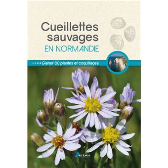 Cueillettes sauvages en Normandie