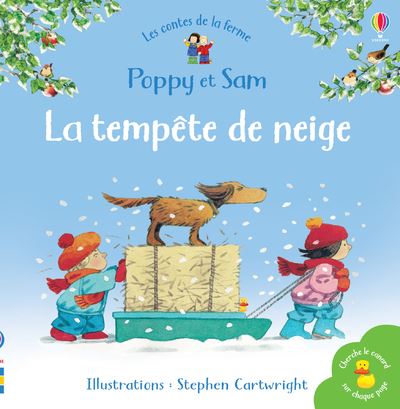 La tempête de neige Mini-livres