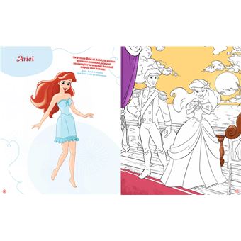 DISNEY PRINCESSES - Robes de princesses - Princes et Princesses