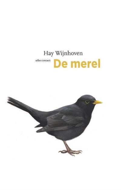 De merel