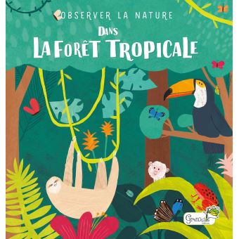 Dans la forêt tropicale