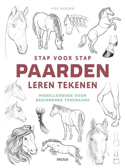 Stap voor stap paarden leren tekenen
