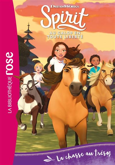 bibliothèque rose : A consulter avant votre achat