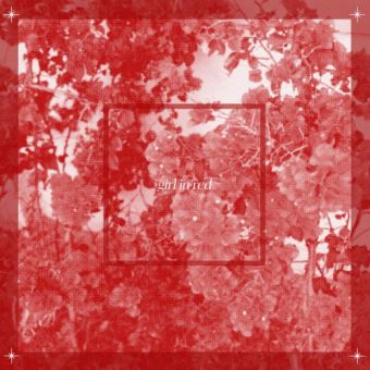 Beginnings - LP 12''
