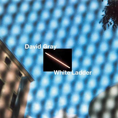 White Ladder 2020