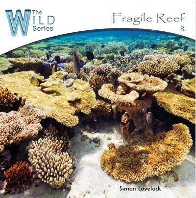 Fragile reef