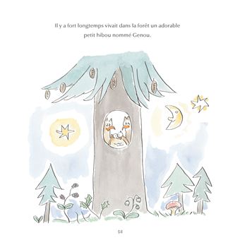 Histoires farfelues d'orthographe Genou le petit hibou et autres histoires