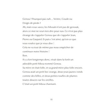 Histoires farfelues d'orthographe Genou le petit hibou et autres histoires