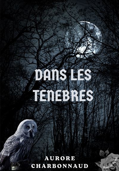 Dans les ténèbres - Aurore Charbonnaud - broché