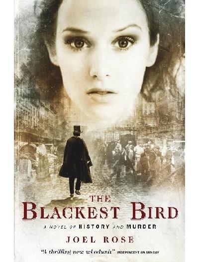 The blackest bird