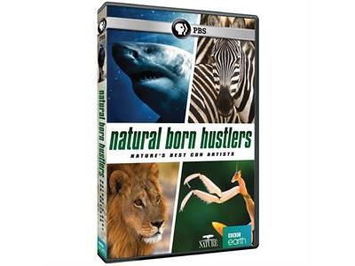 BBC EARTH: NATURAL BORN HUSTLERS-NL