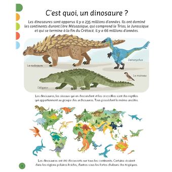 L'imagerie - Les dinosaures
