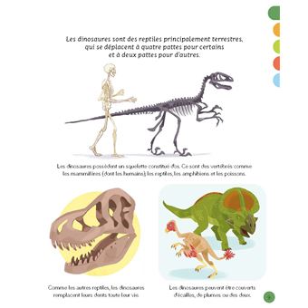 L'imagerie - Les dinosaures