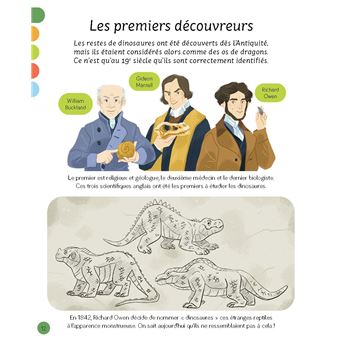 L'imagerie - Les dinosaures