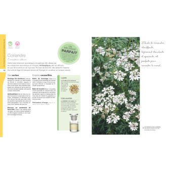 Mon guide des huiles essentielles