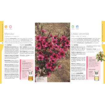 Mon guide des huiles essentielles