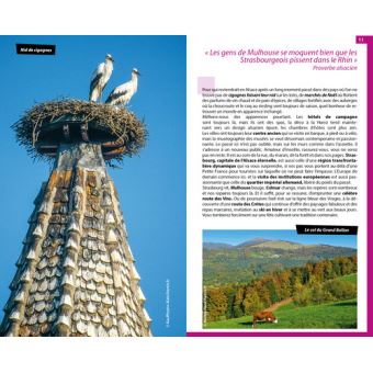 Guide du Routard Alsace 2019/20