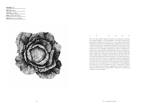 Naturalite-Alain-Ducae.jpg