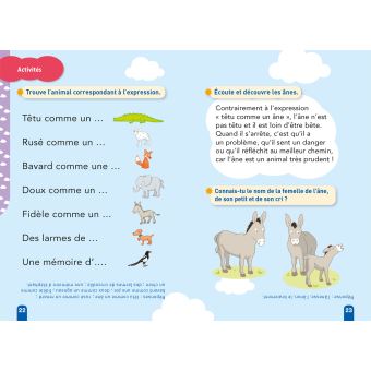 Téo et Nina GS CP Niveau 1 - Téo et Nina à dos d'âne